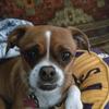 Profile Picture of janetcoco6 (@@janetcoco24) on Tiktok