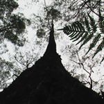 Profile Picture of Robin Foster (@888robinhood) on Instagram