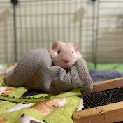 Profile Picture of Jim Alexander (@jimalexander405) on Youtube