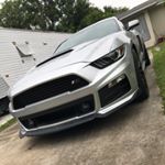 Profile Picture of Haley Mitchell (@eco.roush2015) on Instagram