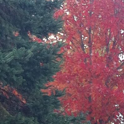 Profile Picture of Brad Schoffstall (@simple7x7) on Twitter