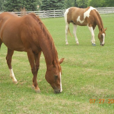 Profile Picture of Cathy Jo Gard (@CathyGard) on Twitter