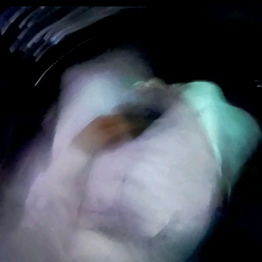 Profile Picture of Guffey boy (@guffey.boy) on Tiktok