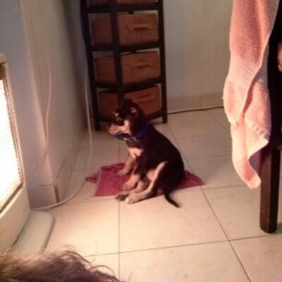 Profile Picture of Benjamin Muller (@benjaminmuller9) on Twitter