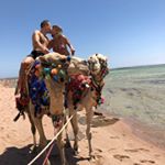 Profile Picture of Thomas Fröhlich (@frohlichthomas) on Instagram