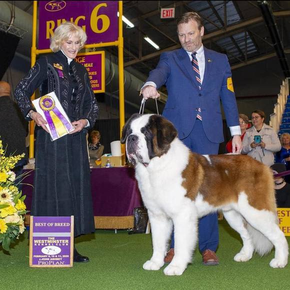 Profile Picture of Kristi Libsack (@klinsack) on Poshmark