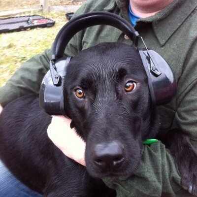 Profile Picture of Matt Petersen (@mrp416) on Twitter