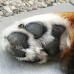 Profile Picture of James Di Mascio (@james.d.mascio) on Facebook