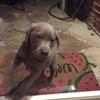 Profile Picture of user963215 (@@hazelpratt) on Tiktok