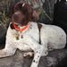 Profile Picture of Y. Hospodor (@yhospodor) on Pinterest