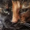 Profile Picture of TheEvilsizer (@theevilsizer) on Tiktok