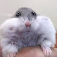 Profile Picture of Jess Coco (@jess-coco-4) on Quora