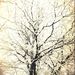 Profile Picture of Colin Evans (@pindog101) on Pinterest