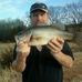 Profile Picture of Darryl Seamster (@darryl.seamster.5) on Facebook