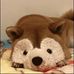 Profile Picture of Mitchell Schrader (@mitchell.schrader.792) on Facebook