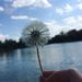 Profile Picture of Alice Pfeiffer (@pfeifferalice94) on Pinterest