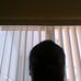 Profile Picture of Simeon Springer (@simeon.springer.9693) on Facebook