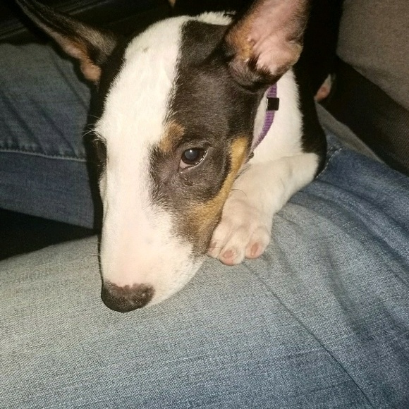 Seth Slater - Poshmark Profile Picture of Seth Slater (@sethslater) on Poshmark