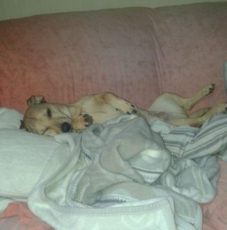 Profile Picture of Peter Nette (@peter.nette.77) on Facebook