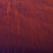 Profile Picture of Selina/Joshua Judy (@selinajoshuajudy7948) on Youtube