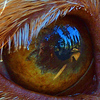 Profile Picture of John Szymanski (@JSzymanski) on Flickr