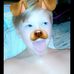 Profile Picture of Daniel Delcour (@daniel.delcour.543) on Facebook