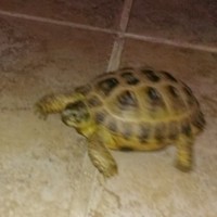 Profile Picture of Eric Capel (@eric-capel) on Quora