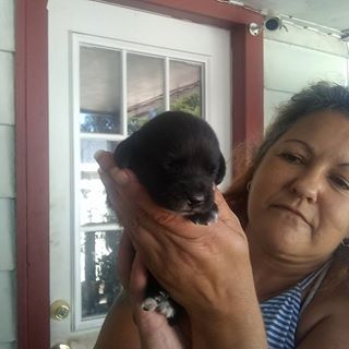 Profile Picture of Amie Mccloud (@amie.mccloud.16) on Facebook