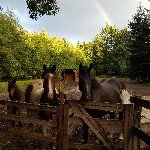 Profile Picture of Tami Ballance (@tamiballance) on Instagram