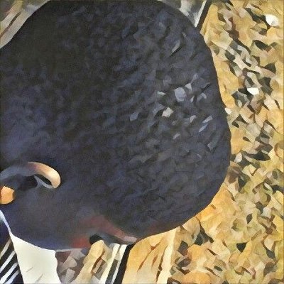 Profile Picture of Lebron Jr (@mitchell_ngel) on Twitter