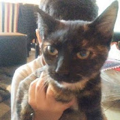 Profile Picture of Nancy Lo (@nancylo5264) on Youtube