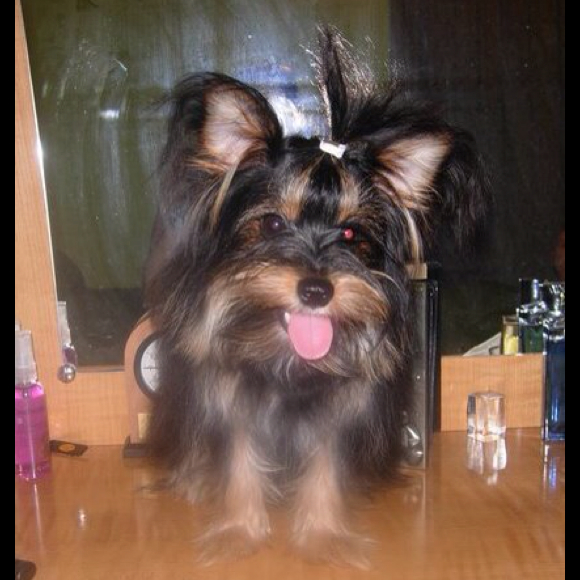 Profile Picture of Stella Basalleli (@stefy29) on Poshmark