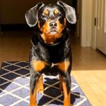 Profile Picture of Bentley Clayton (@bennyclaytonn) on Instagram