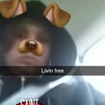 Profile Picture of Patrick Mudd (@mudd_patrick10) on Instagram