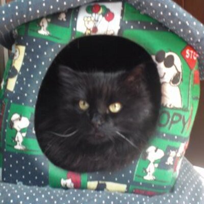 Samuel Marta - Twitter Profile Picture of Samuel Marta (@SamuelMarta2) on Twitter