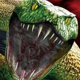 Profile Picture of Roy Umlauf (@roy.umlauf) on Facebook