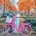 Profile Picture of Maurice Stein (@denis__houghton8vpshbj) on Instagram