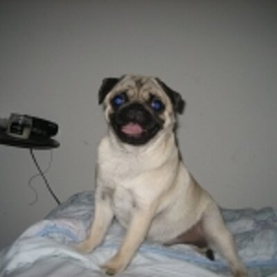 Trader_steve - Twitter Profile Picture of Trader_steve (@trader_steve) on Twitter