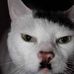 Profile Picture of Дмитрий Штихман (@Дмитрий-Штихман) on Facebook