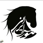 Profile Picture of اسب ایرانی (@horse_irani) on Instagram