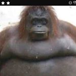 Profile Picture of Tyler Furness (@big_chunky_boi69) on Instagram
