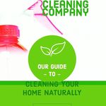 Profile Picture of Andre Foster (@procleaningcompany1) on Instagram