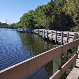 Profile Picture of Lisa Harriman (@LisaHarriman8) on Twitter