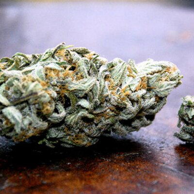 Profile Picture of Jayson Ruiz (@JasonP93) on Twitter