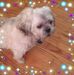 Profile Picture of Marilyn Keefe (@marilyn.keefe.399) on Facebook