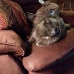 Profile Picture of Bob Griner (@grinerbob) on Instagram