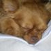 Profile Picture of Ruth Paradis (@rapzx2) on Pinterest