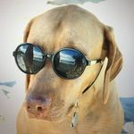 Profile Picture of Michelle Kimball (@mkimball123) on Instagram