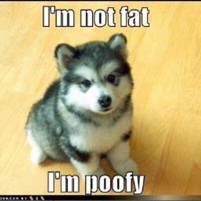 Tess Cox - Twitter Profile Picture of Tess Cox (@TessCox5) on Twitter