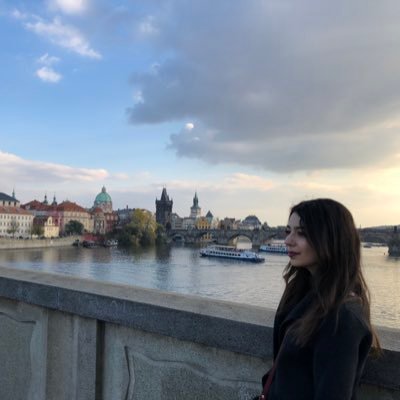 Profile Picture of Shushan Mikayelyan (@ShushanMikayel1) on Twitter